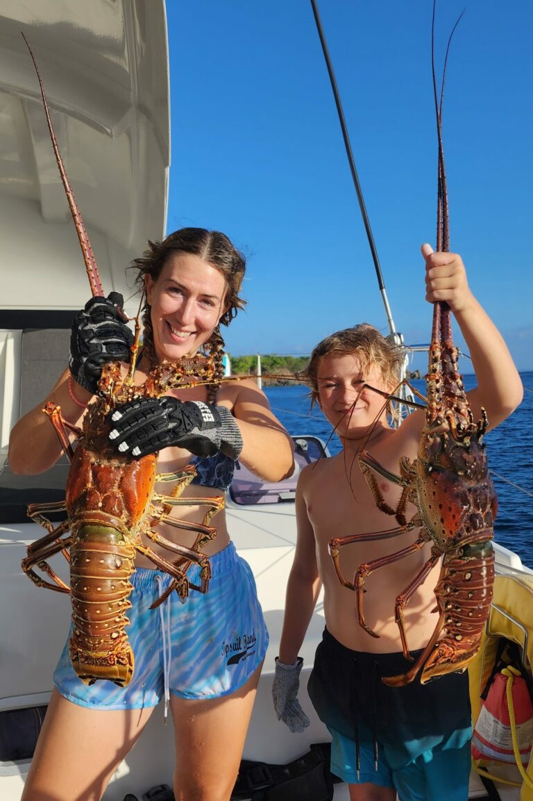 Culebra Lobsters